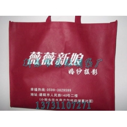 承德市定做无纺布环保袋